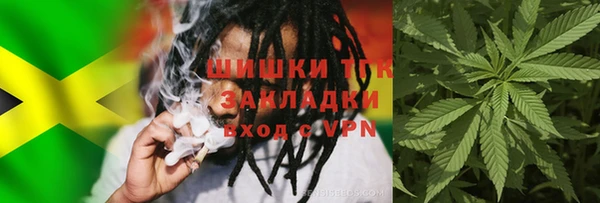 ГАЛЛЮЦИНОГЕННЫЕ ГРИБЫ Балахна