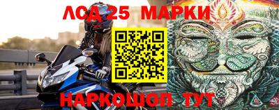 стаф Боровичи
