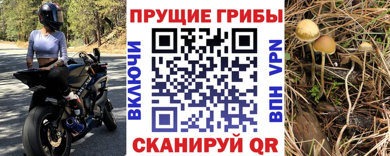 Псилоцибиновые грибы Psilocybine cubensis  мега ССЫЛКА  Балахна 