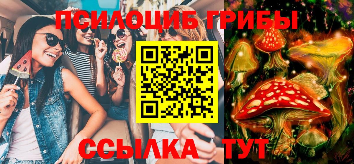 Балахна  Псилоцибиновые грибы MAGIC MUSHROOMS  Вход с VPN 