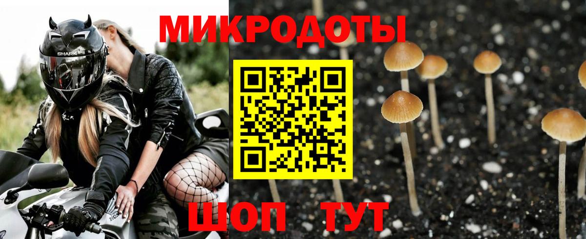 Псилоцибиновые грибы MAGIC MUSHROOMS Балахна