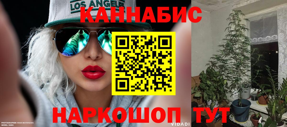 Канабис планчик Балахна